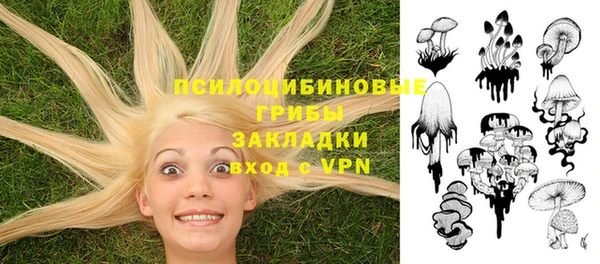 Альфа ПВП Аркадак
